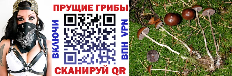 Галлюциногенные грибы MAGIC MUSHROOMS  хочу   Железноводск 